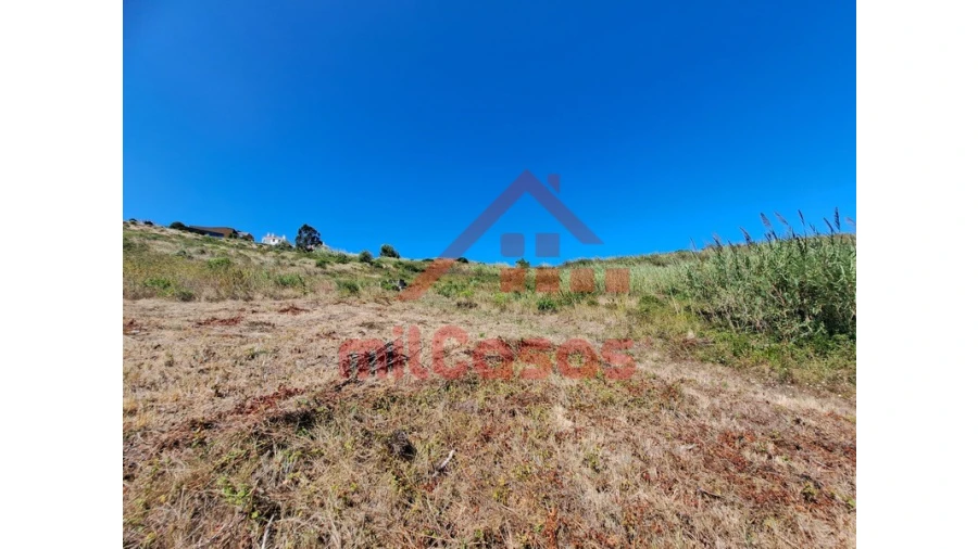 Terreno Agricola ou Rústico para Venda em Santa Maria, São Pedro e Matacães Foto 21