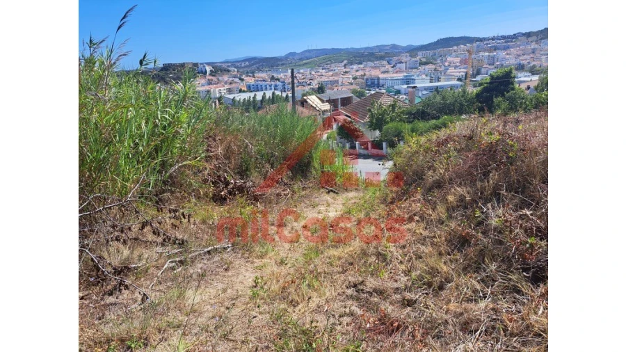Terreno Agricola ou Rústico para Venda em Santa Maria, São Pedro e Matacães Foto 12