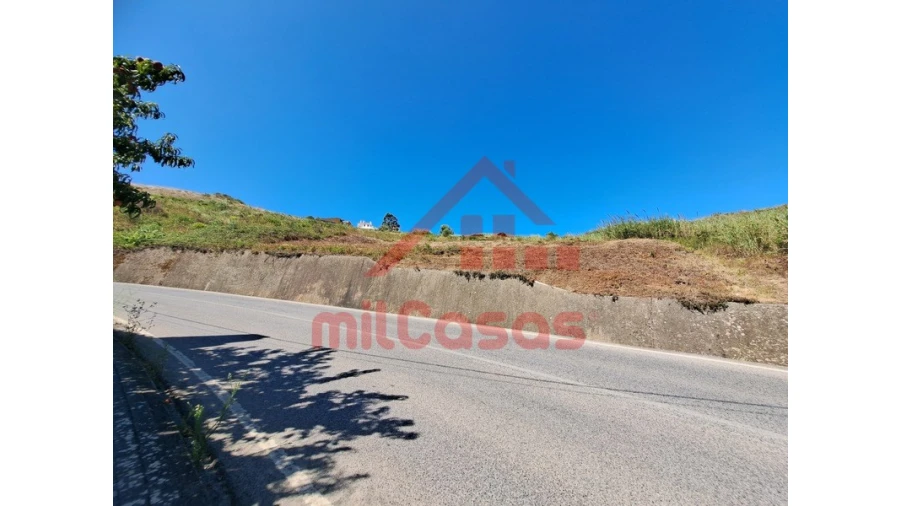 Terreno Agricola ou Rústico para Venda em Santa Maria, São Pedro e Matacães Foto 23