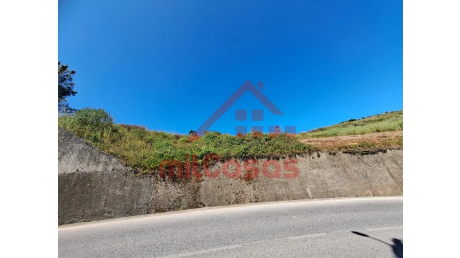 Terreno Agricola ou Rústico para Venda em Santa Maria, São Pedro e Matacães Foto 24