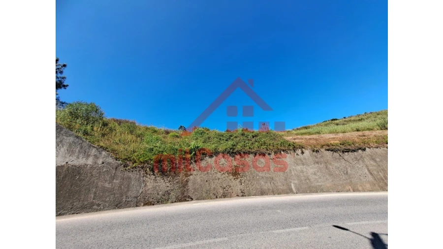 Terreno Agricola ou Rústico para Venda em Santa Maria, São Pedro e Matacães Foto 25