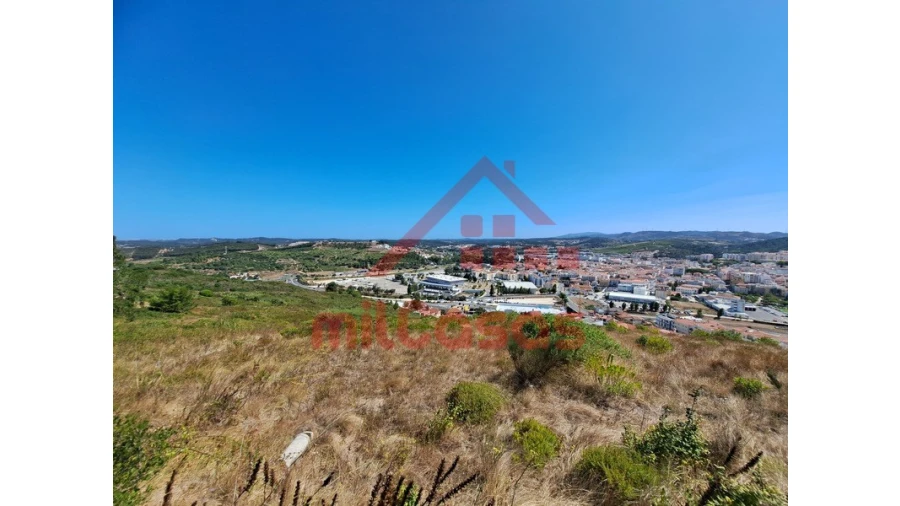 Terreno Agricola ou Rústico para Venda em Santa Maria, São Pedro e Matacães Foto 13