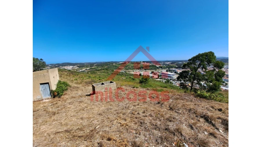 Terreno Agricola ou Rústico para Venda em Santa Maria, São Pedro e Matacães Foto 6