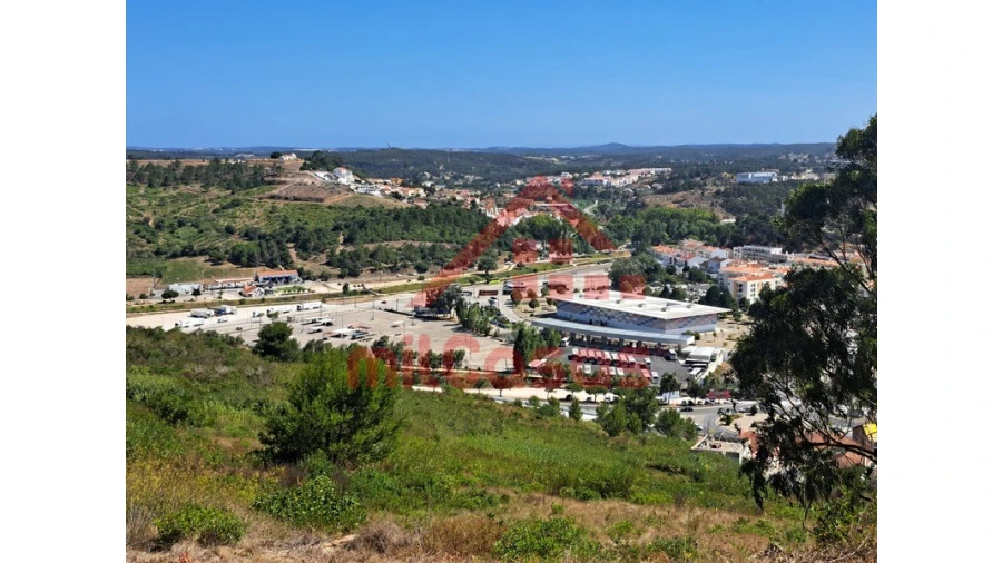 Terreno Agricola ou Rústico para Venda em Santa Maria, São Pedro e Matacães Foto 3