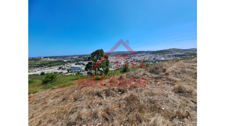 Terreno Agricola ou Rústico para Venda em Santa Maria, São Pedro e Matacães Foto 14