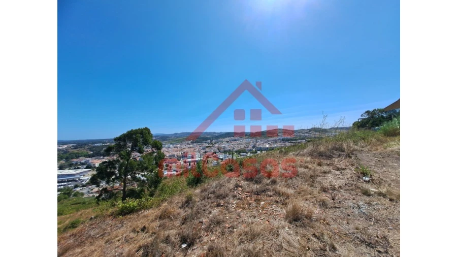 Terreno Agricola ou Rústico para Venda em Santa Maria, São Pedro e Matacães Foto 15