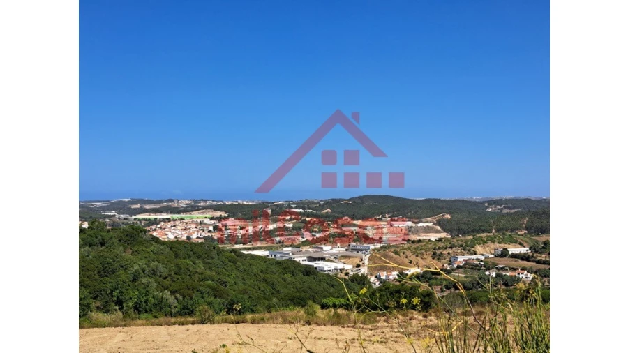 Terreno Agricola ou Rústico para Venda em Santa Maria, São Pedro e Matacães Foto 11