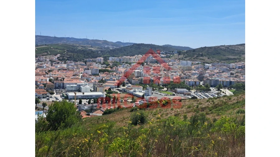 Terreno Agricola ou Rústico para Venda em Santa Maria, São Pedro e Matacães Foto 28