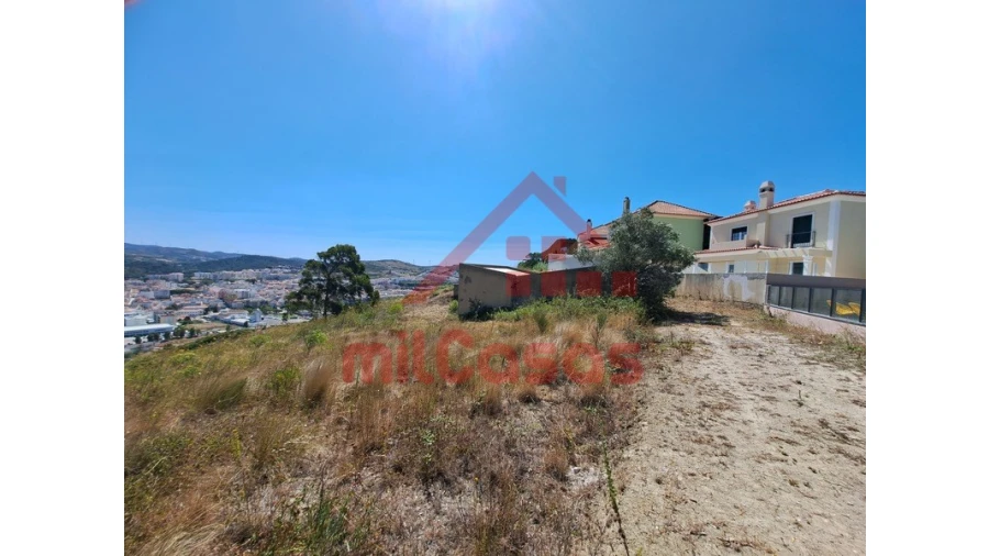 Terreno Agricola ou Rústico para Venda em Santa Maria, São Pedro e Matacães Foto 5