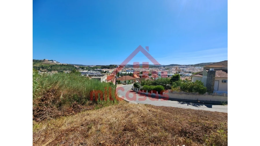 Terreno Agricola ou Rústico para Venda em Santa Maria, São Pedro e Matacães Foto 29