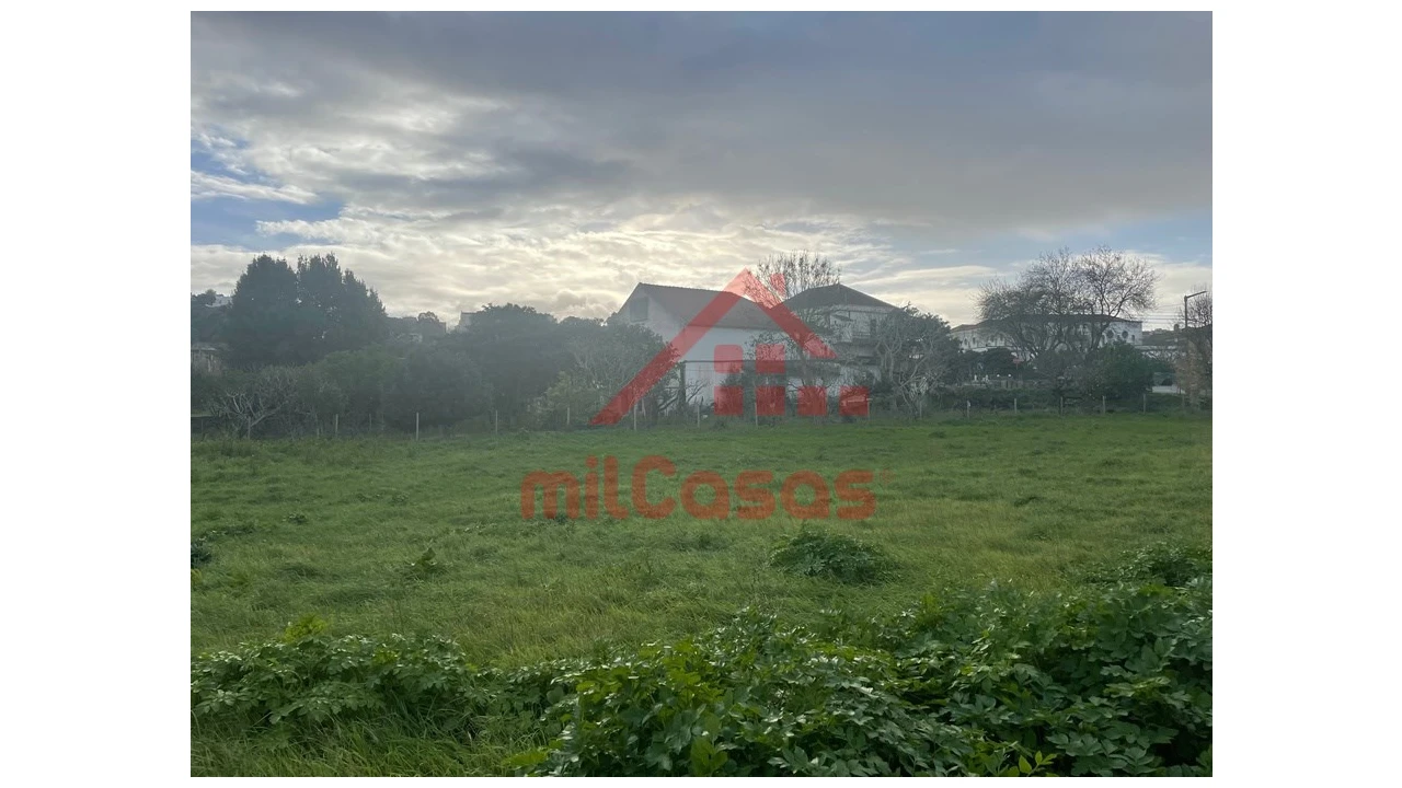 Terreno para Arrendamento em Santa Maria, São Pedro e Matacães Foto 5