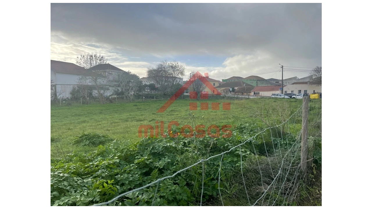 Terreno para Arrendamento em Santa Maria, São Pedro e Matacães Foto 11