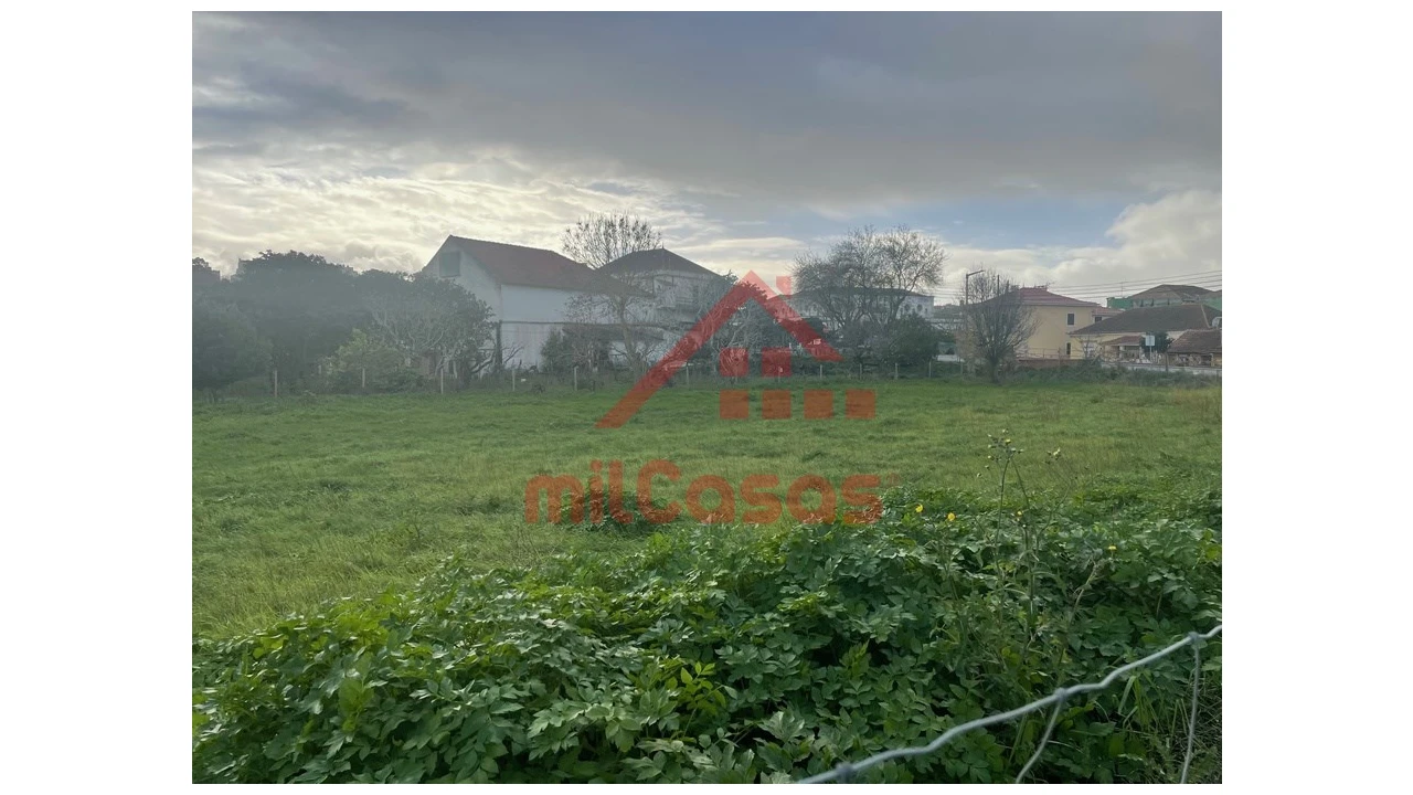 Terreno para Arrendamento em Santa Maria, São Pedro e Matacães Foto 12