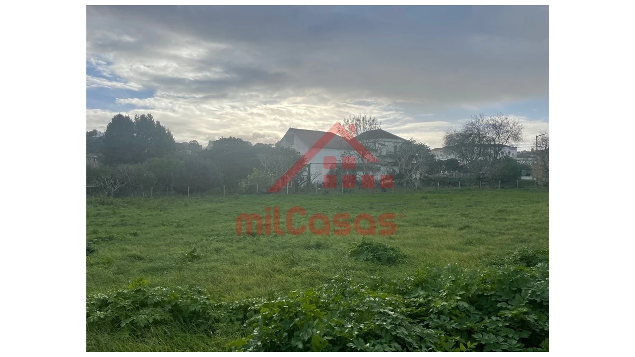 Terreno para Arrendamento em Santa Maria, São Pedro e Matacães Foto 18