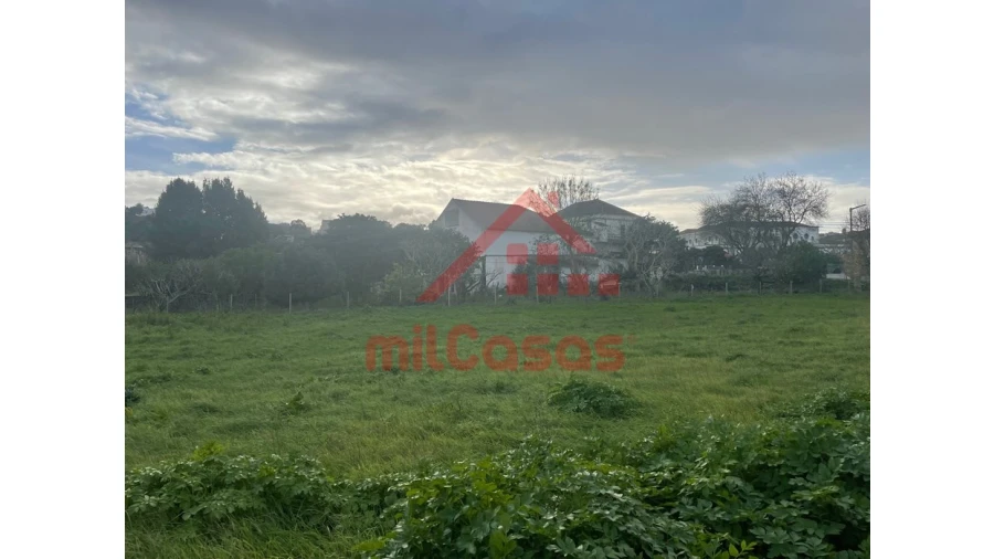 Terreno para Arrendamento em Santa Maria, São Pedro e Matacães Foto 5