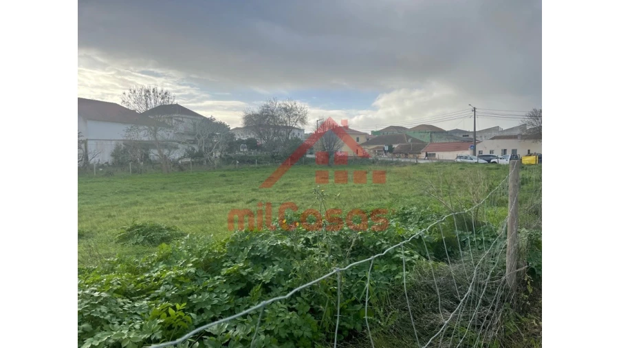 Terreno para Arrendamento em Santa Maria, São Pedro e Matacães Foto 11