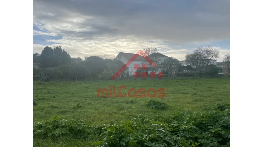 Terreno para Arrendamento em Santa Maria, São Pedro e Matacães Foto 18