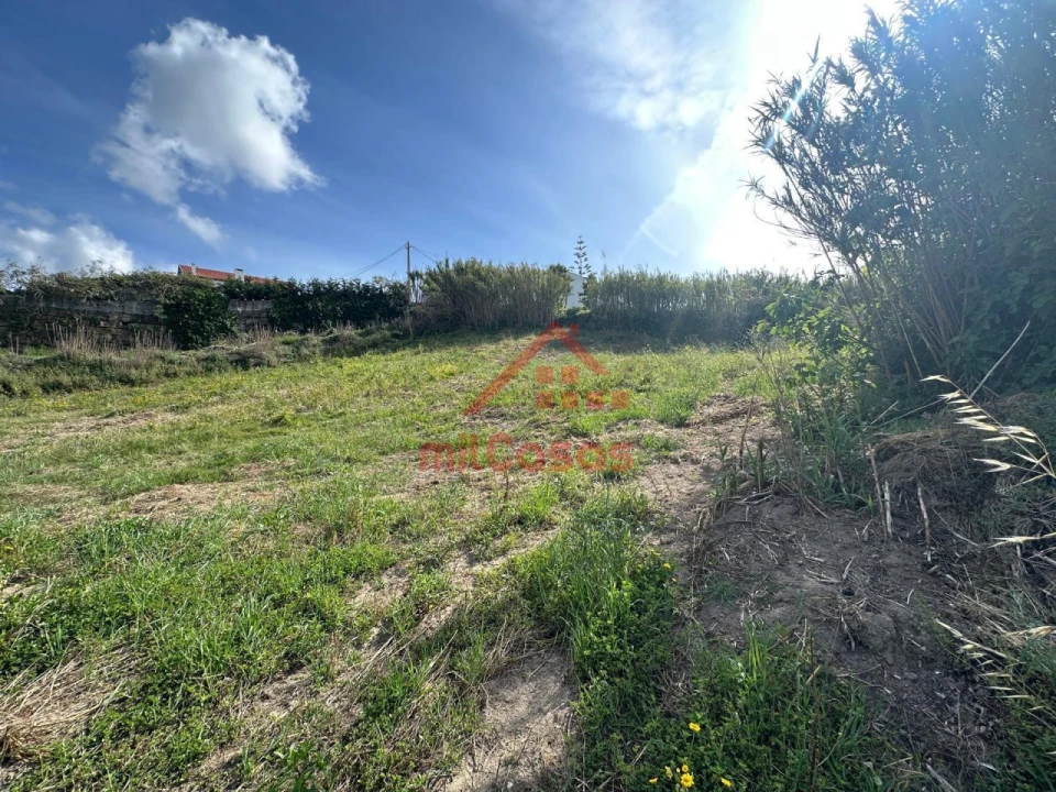 Terreno para Venda em Santo Isidoro Foto 9