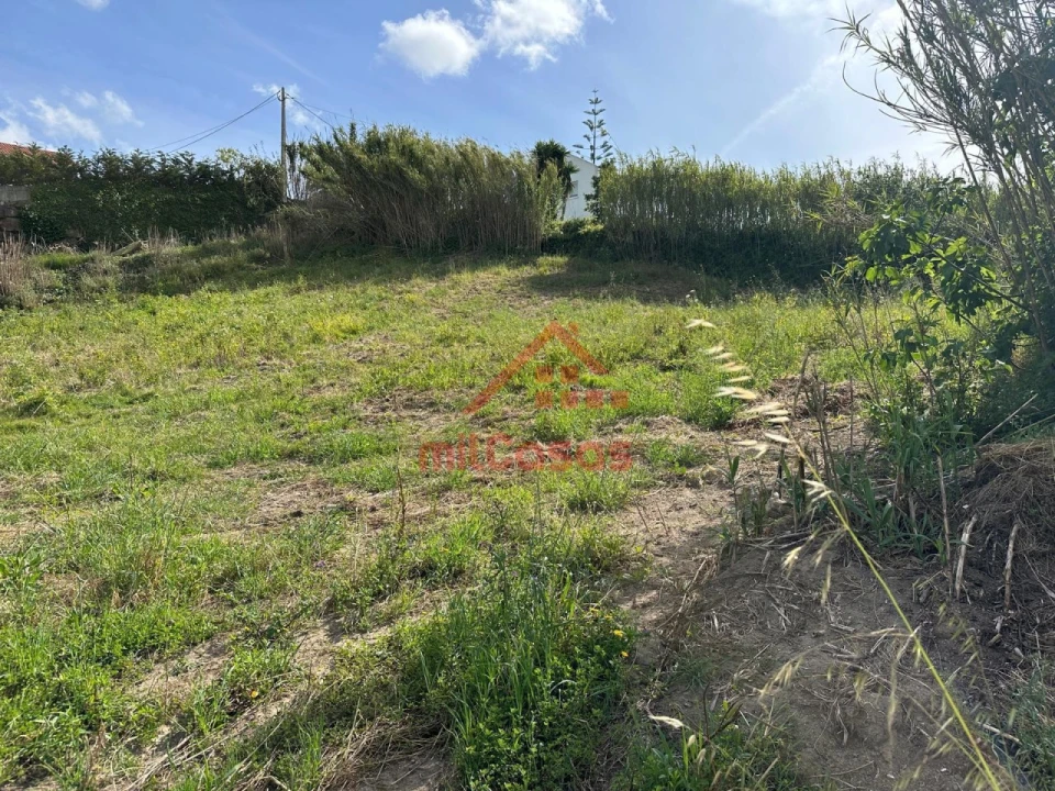 Terreno para Venda em Santo Isidoro Foto 11