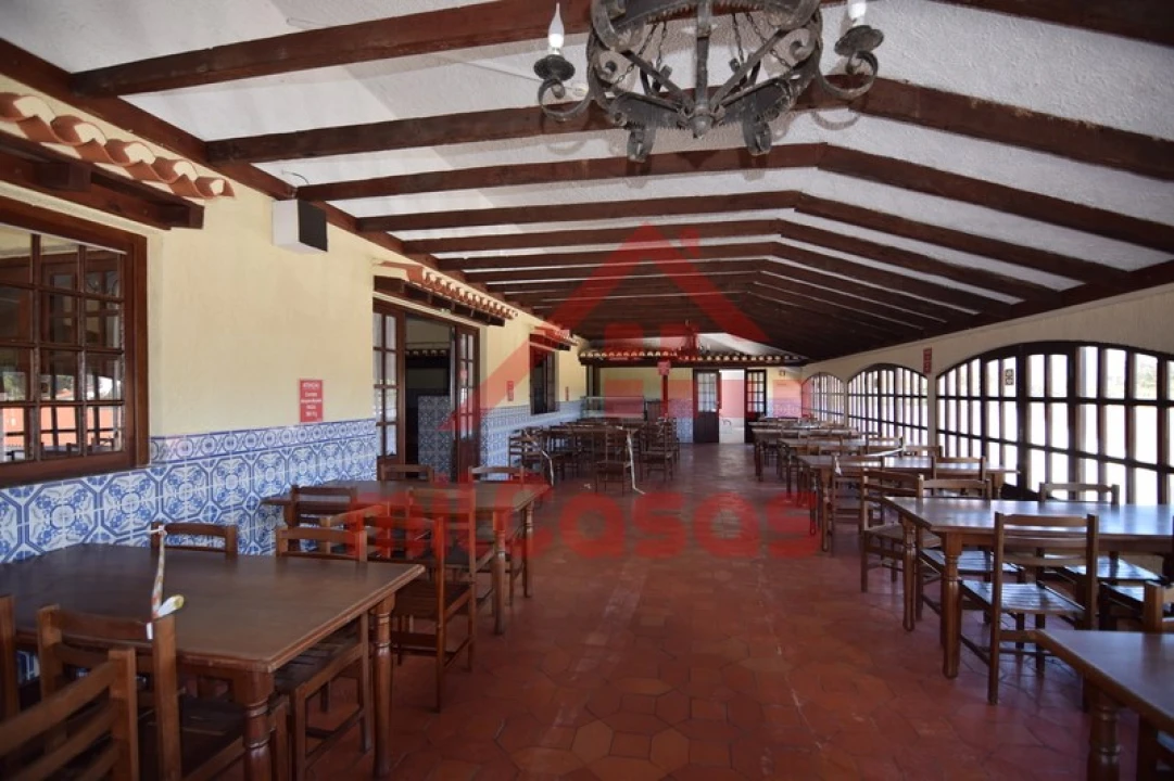 Negócio para Venda em Ericeira Foto 21