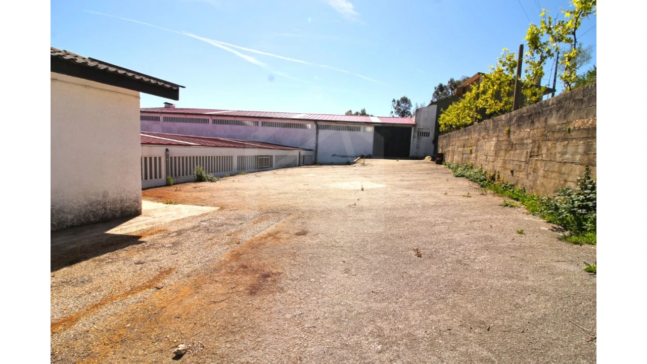 Armazém para Venda em Vila de Cucujães Foto 2