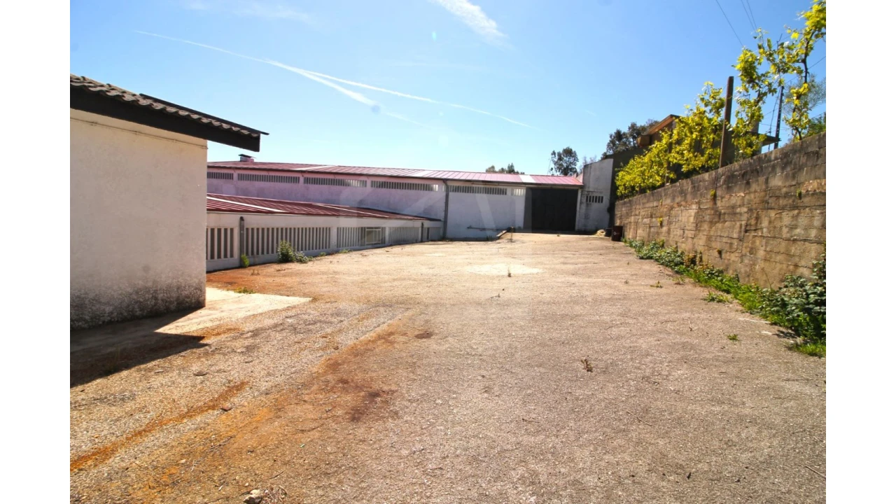 Armazém para Venda em Vila de Cucujães Foto 4