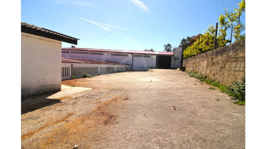 Armazém para Venda em Vila de Cucujães Foto 4