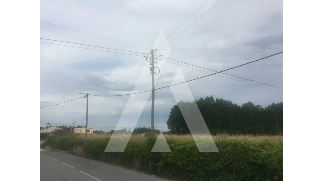 Terreno para Venda em Bustos, Troviscal e Mamarrosa Foto 2