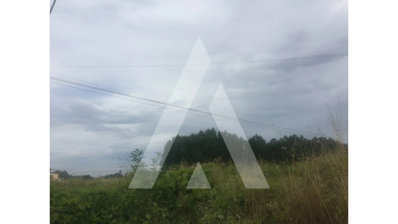 Terreno para Venda em Bustos, Troviscal e Mamarrosa Foto 3