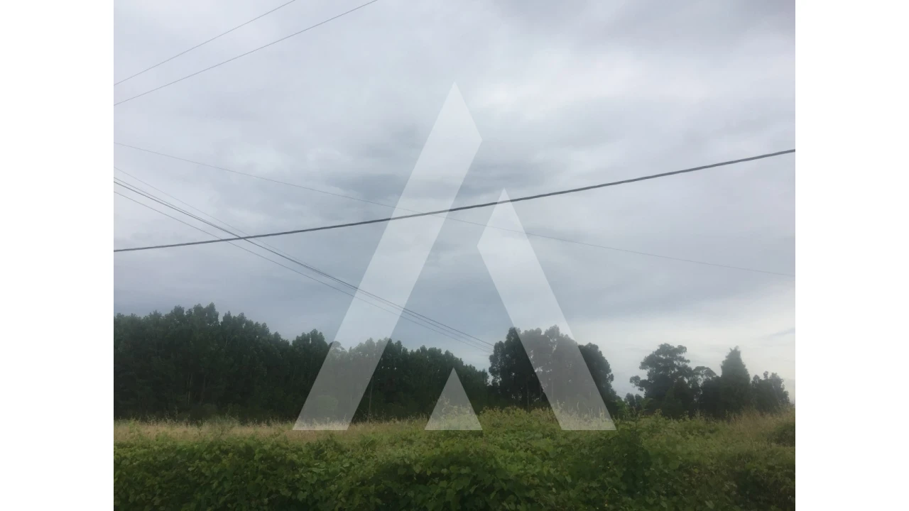 Terreno para Venda em Bustos, Troviscal e Mamarrosa Foto 4