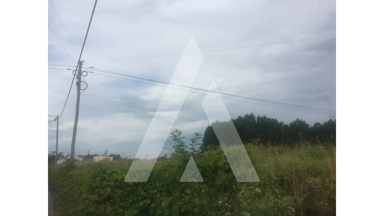 Terreno para Venda em Bustos, Troviscal e Mamarrosa Foto 5