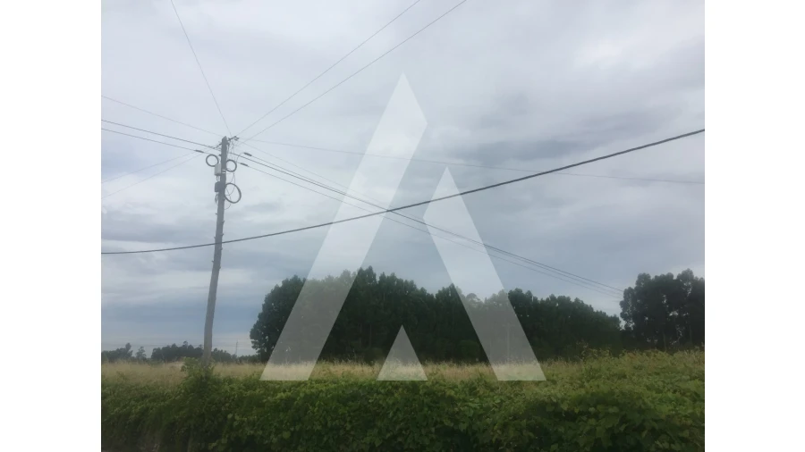 Terreno para Venda em Bustos, Troviscal e Mamarrosa Foto 1