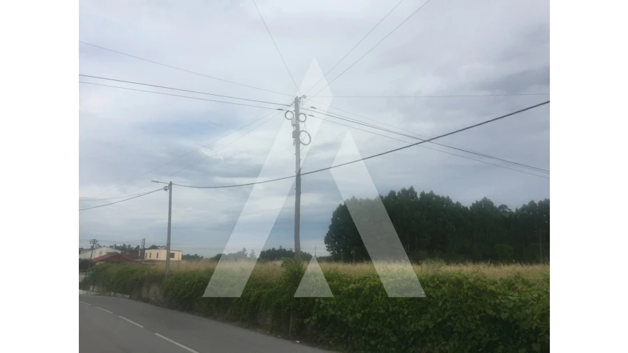 Terreno para Venda em Bustos, Troviscal e Mamarrosa Foto 2