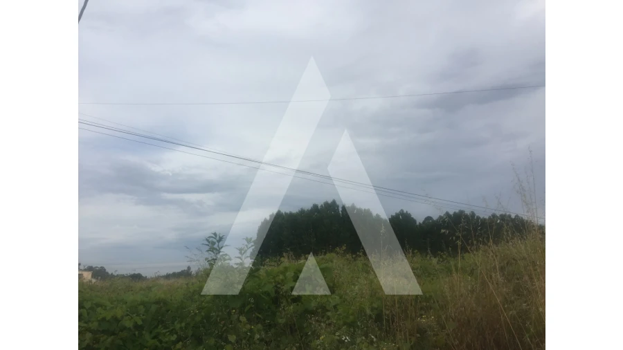 Terreno para Venda em Bustos, Troviscal e Mamarrosa Foto 3