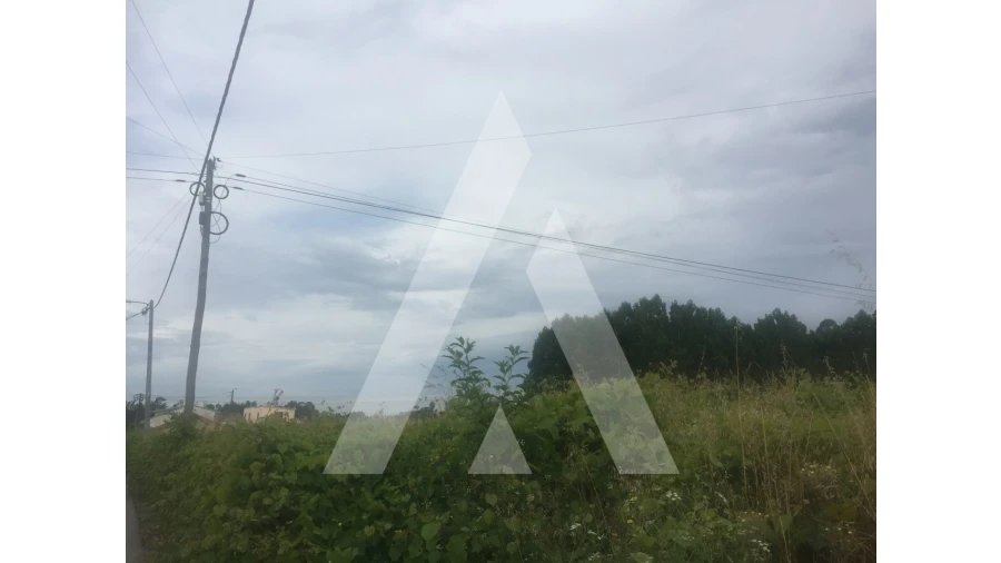 Terreno para Venda em Bustos, Troviscal e Mamarrosa Foto 5