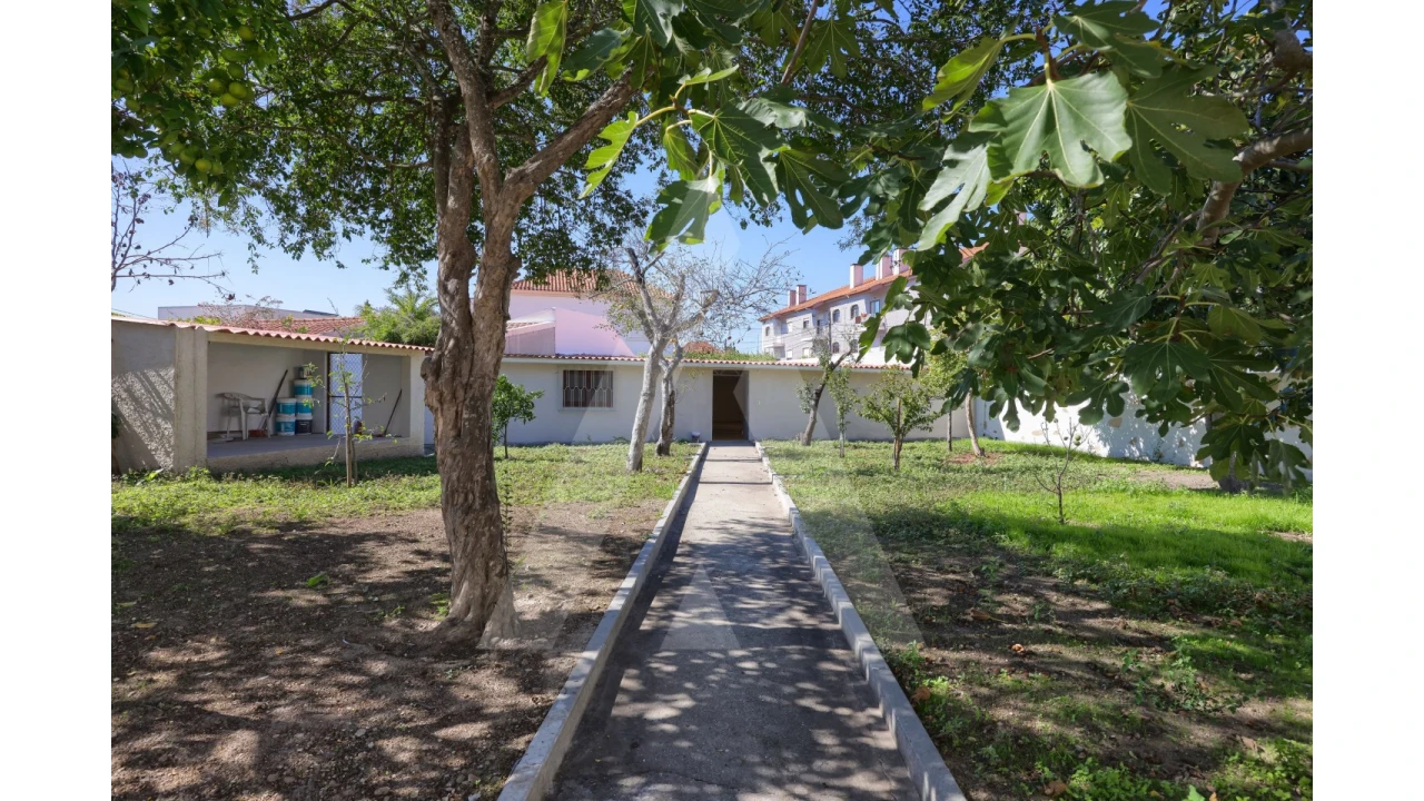 Moradia T4 para Venda em Ílhavo (São Salvador) Foto 3