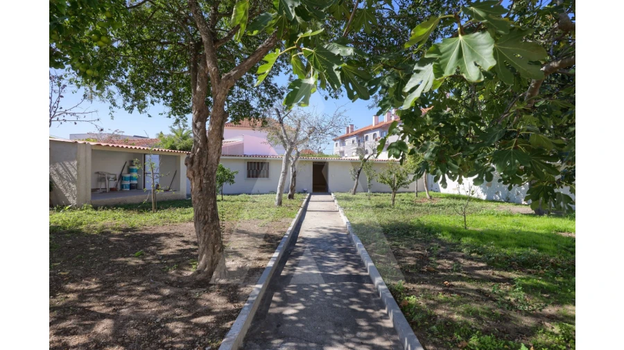 Moradia T4 para Venda em Ílhavo (São Salvador) Foto 3