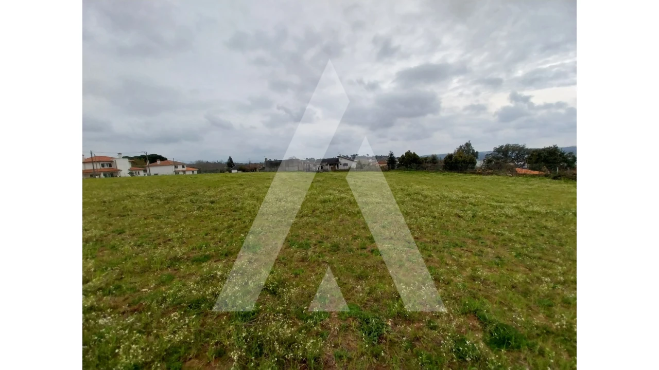 Terreno para Venda em Macinhata do Vouga Foto 6