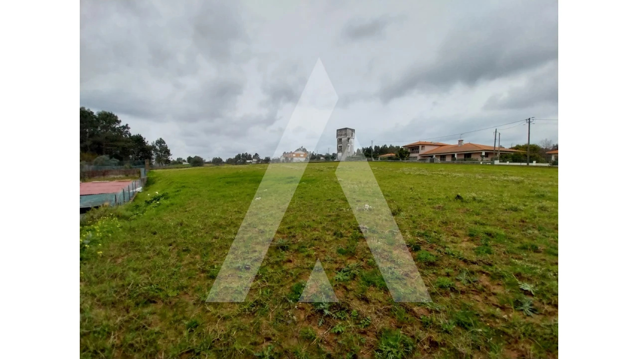 Terreno para Venda em Macinhata do Vouga Foto 7