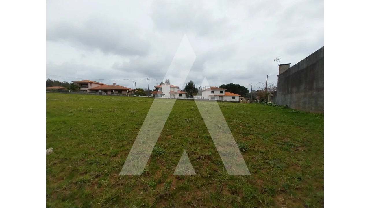 Terreno para Venda em Macinhata do Vouga Foto 10