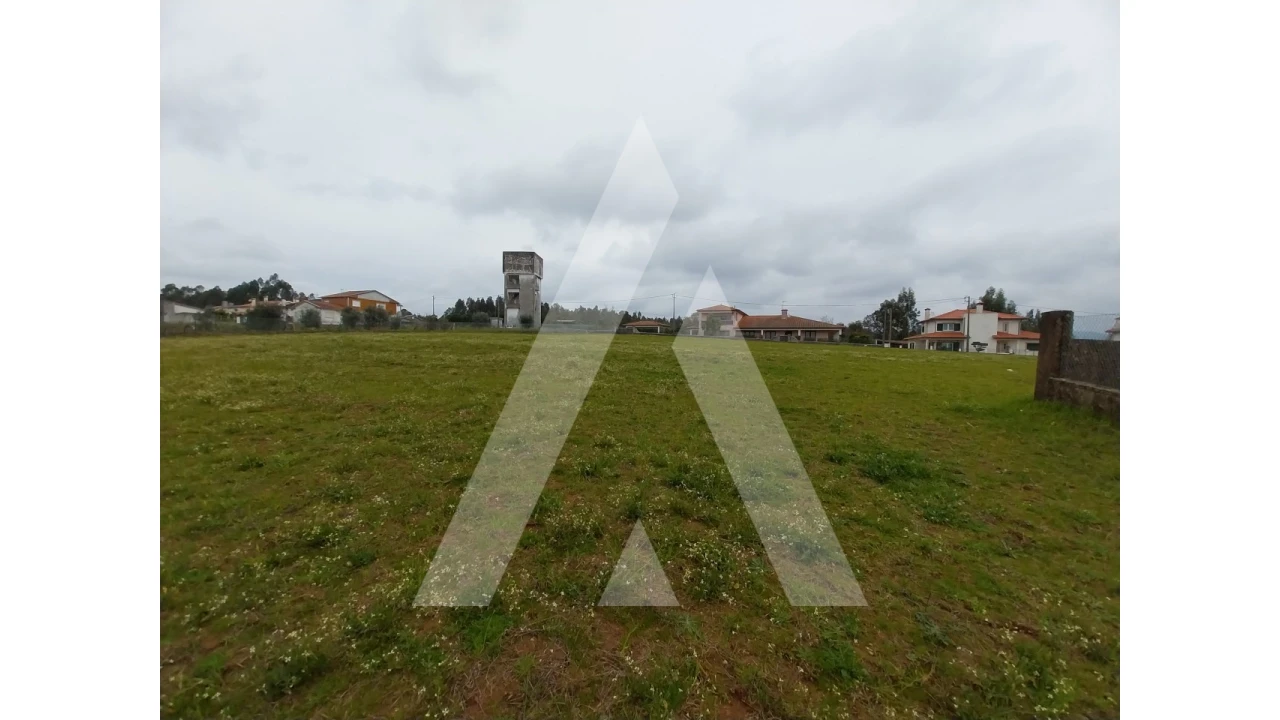 Terreno para Venda em Macinhata do Vouga Foto 15