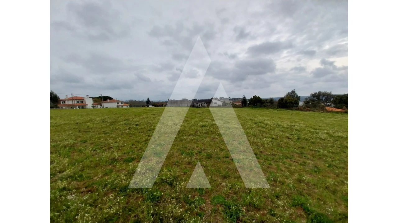 Terreno para Venda em Macinhata do Vouga Foto 17