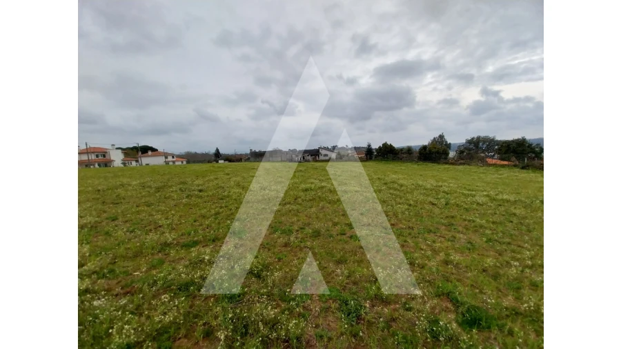 Terreno para Venda em Macinhata do Vouga Foto 6