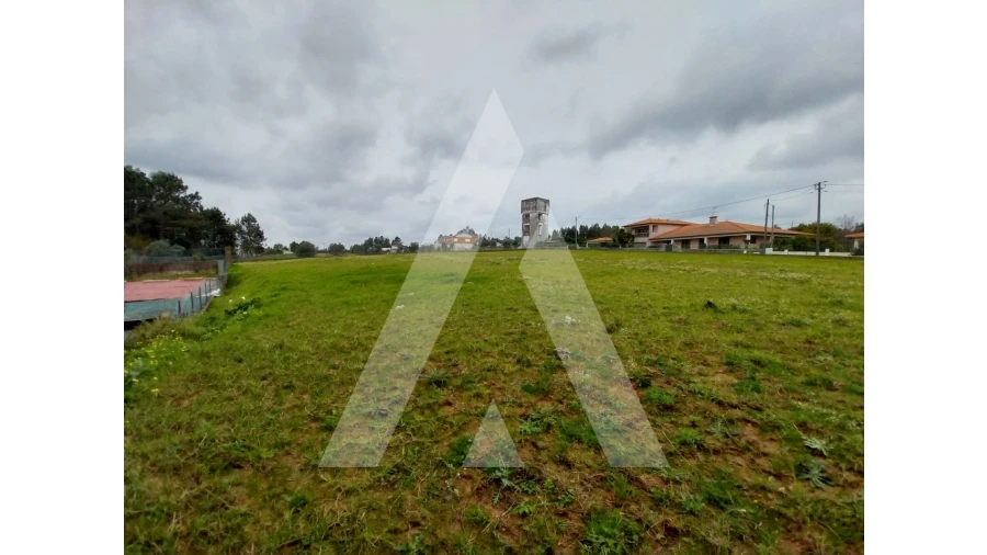 Terreno para Venda em Macinhata do Vouga Foto 7