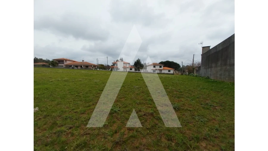 Terreno para Venda em Macinhata do Vouga Foto 10