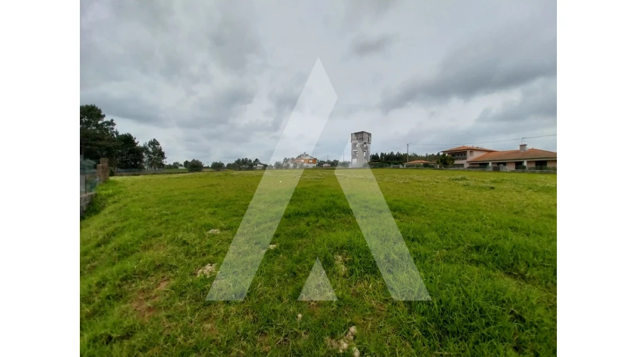 Terreno para Venda em Macinhata do Vouga Foto 11