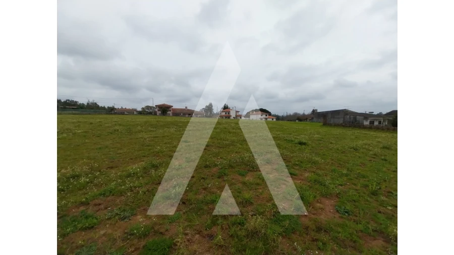 Terreno para Venda em Macinhata do Vouga Foto 14