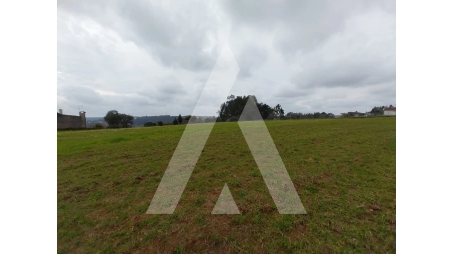 Terreno para Venda em Macinhata do Vouga Foto 19