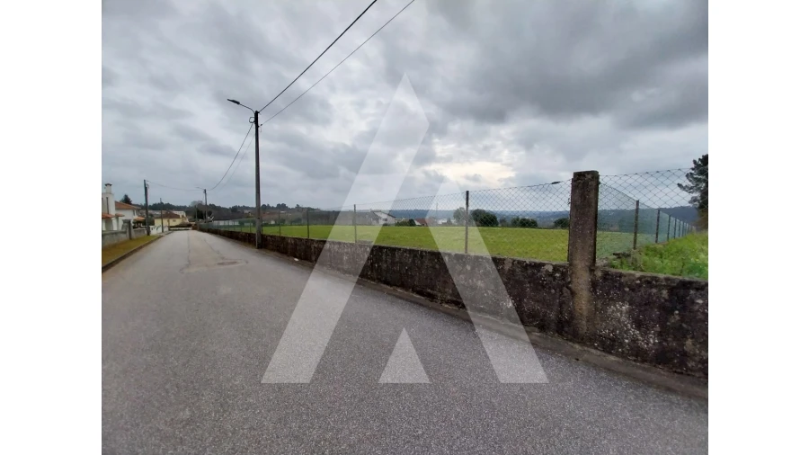 Terreno para Venda em Macinhata do Vouga Foto 24