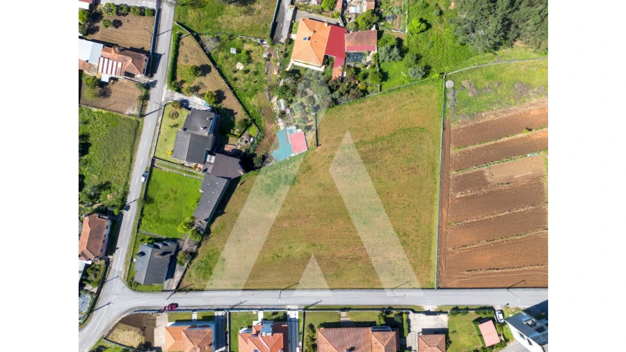 Terreno para Venda em Macinhata do Vouga Foto 3